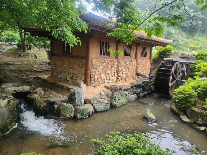  [함양=뉴시스] 서희원 기자= 21일 천년의 숲 함양 상림공원 숲 인근에 물레방아가 돌고 있다. 2025. 5. 21. shw1881@newsis.com&nbsp;&nbsp;&nbsp;&nbsp;&nbsp; *재판매 및 DB 금지