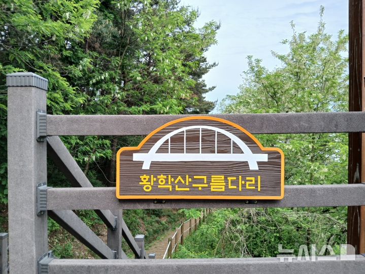 [여주=뉴시스]황학산구름다리(사진=여주시 제공)2025.05.21.photo@newsis.com