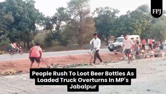 [뉴시스](사진=프리프레스저널) *재판매 및 DB 금지