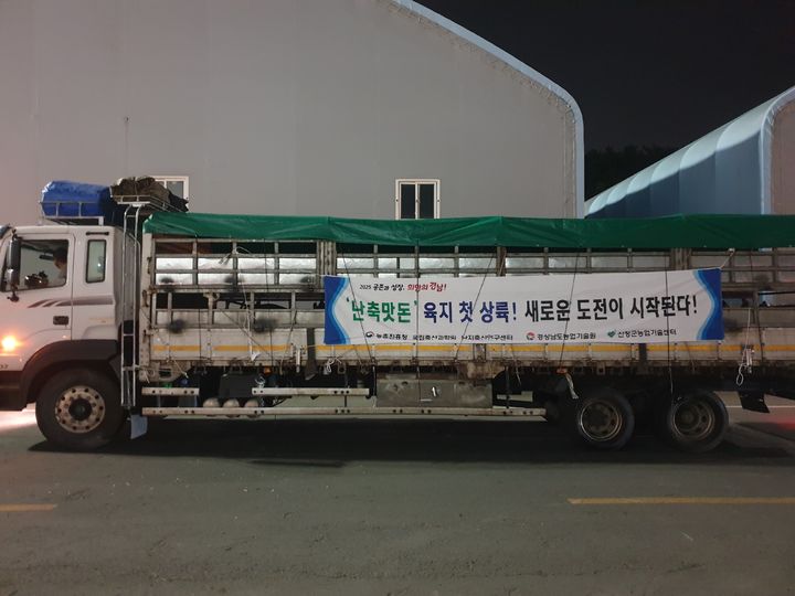 [진주=뉴시스]제주도, '난축맛돈' 육지 첫 상륙.(사진=경남농업기술원 제공).2025.05.21.photo@newsis.com *재판매 및 DB 금지