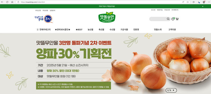 [무안=뉴시스] 맛뜰무안몰 양파 할인 기획전. (사진=무안군 제공) 2025.05.21. photo@newsis.com *재판매 및 DB 금지