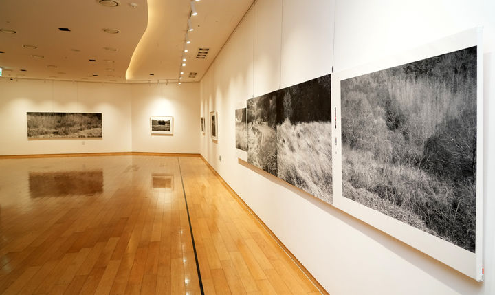 BNK경남은행갤러리 2025년 상반기 대관 전시 '이철호 사진전'.(자료사진=BNK경남은행 제공)2025.05.21. *재판매 및 DB 금지