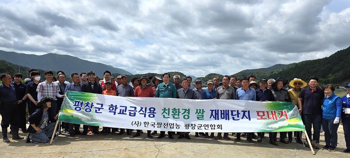 학교 급식용 친환경 쌀 모내기. *재판매 및 DB 금지