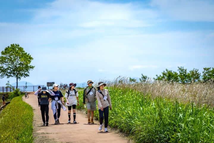 [순천=뉴시스] 남파랑길 따라 걷는 '순천만 씨워킹', (사진=순천시 제공) 2025.05.21. photo@newsis.com *재판매 및 DB 금지