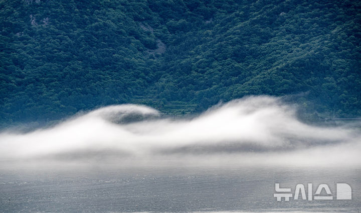 [남해=뉴시스] 차용현 기자 = 21일 오전 경남 남해군 이동면 바닷가에 운해가 내려앉아 신비감을 더하고 있다. 2025.05.21.con@newsis.com