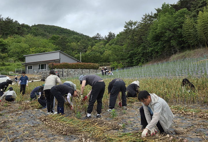  *재판매 및 DB 금지