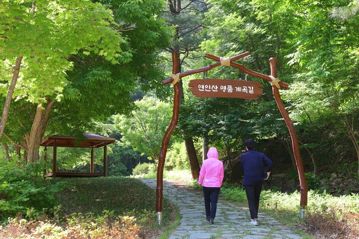 연인산 계곡길 입구(사진=경기도 제공) *재판매 및 DB 금지