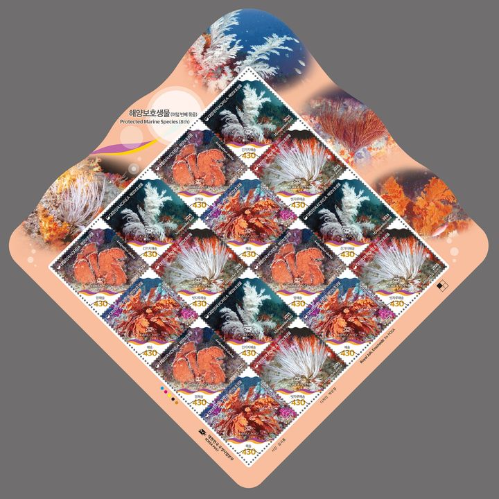 우표로 만나는 천연기념물…'해양보호생물' 기념우표 발행