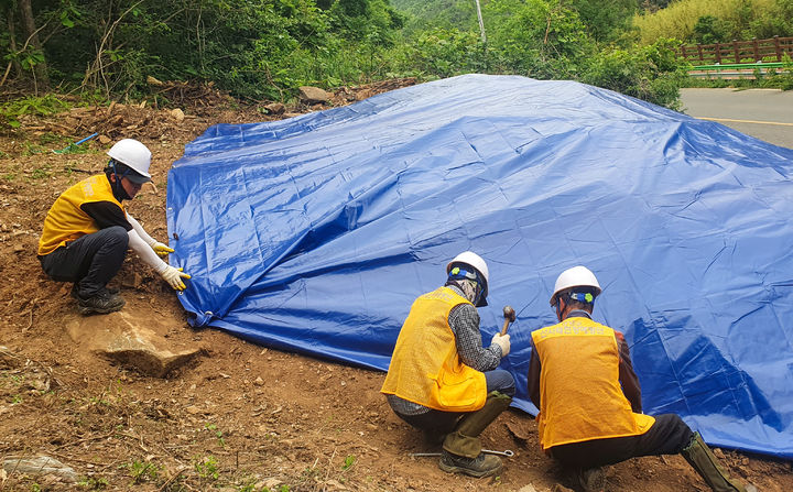 [창녕=뉴시스] 창녕군 산사태현장예방단이 방수포를 덮고 있다. (사진= 창녕군 제공) 2025.05.22. photo@newsis.com *재판매 및 DB 금지