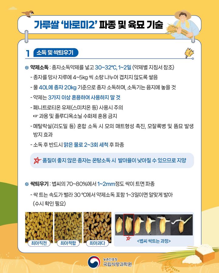 [세종=뉴시스] 농촌진흥청은 '안정적 가루쌀 생산을 위한 종자 소독 방법 및 고온기 육묘 관리 요령'을 22일 소개했다. 사진은 농진청이 제작한 가루쌀 파종 및 육묘 관리 안내서 . (사진=농진청 제공) 2025.05.22. photo@newsis.com *재판매 및 DB 금지