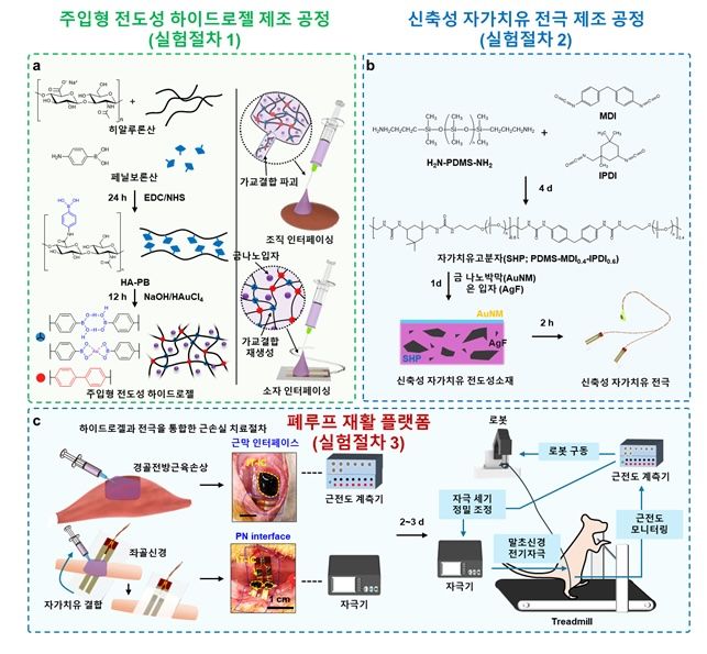 '폐루프 로봇 재활 시스템 구성요소' 개발을 위한 실험 절차 개략도. (사진=성균관대 제공) *재판매 및 DB 금지
