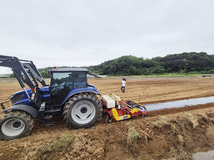 [세종=뉴시스] 농촌진흥청 국립원예특작과학원은 인삼 재배 예정지를 대상으로 '토양 소독 기계화' 기술 현장 실증 연구를 추진한다고 22일 밝혔다. 사진은 이날 충남 공주시 인삼 재배 농가에서 훈증제를 일정 깊이까지 균일하게 투입하는 기계 소독 시연 모습. (사진=농진청 제공) 2025.05.22. photo@newsis.com *재판매 및 DB 금지