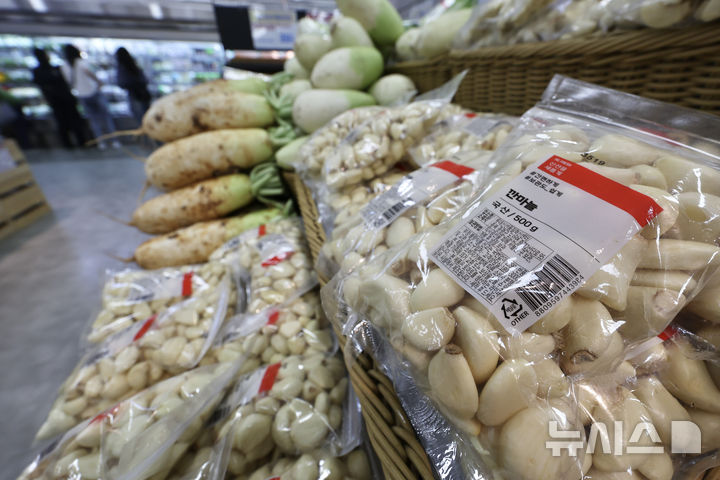 [서울=뉴시스] 김명년 기자 = 서울시내 한 대형마트에 깐마늘이 진열돼 있다. 2025.05.22. kmn@newsis.com