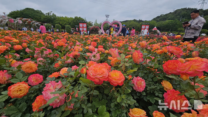 [울산=뉴시스] 배병수 기자 = ‘제17회 울산대공원 장미축제’가 22일 울산 남구 대공원 장미원 및 남문광장 일원에서 ‘러브스토리 인 울산’을 주제로 개막하였다. 장미원을 찾은 많은 시민들과 관광객들이 300만송이 장미향 가득한 장미꽃길을 거닐고 있다 . 2025.05.22.bbs@newsis.com.