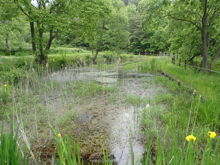 [곡성=뉴시스] 전남 곡성군 월봉습지. (사진=곡성군 제공) 2025.05.22. photo@newsis.com *재판매 및 DB 금지