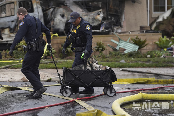 <font style="vertical-align: inherit;"><font style="vertical-align: inherit;">[샌디에이고=AP/뉴시스] 22일(현지 시간) 미국 캘리포니아주 샌디에이고 주택가에 개인 비행기가 추락한 사고가 발생해 주민 대피령이 내려진 후 경찰들이 강아지를 옮기고 있다. 2025.05.23.</font></font>