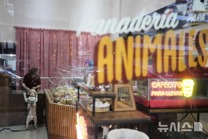 <font style="vertical-align: inherit;"><font style="vertical-align: inherit;">[부에노스아이레스=AP/뉴시스] 지난달 4일(현지 시간) 아르헨티나 부에노스아이레스의 반려동물을 위한 전문 빵집에서 가게 주인이 강아지에게 간식을 주고 있다. 2025.05.23.</font></font>