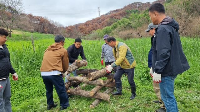 [영양=뉴시스] 영양군 장구메기습지에서 폐목을 활용해 곤충호텔을 만들고 있다. (사진=영양군 제공) 2025.05.23. photo@newsis.com *재판매 및 DB 금지