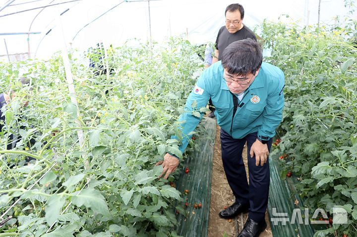[익산=뉴시스] 전북농협은 북익산농협과 함께 장마철 집중호우에 대비해 지역 내 취약 농업시설에 대한 사전점검을 했다고 23일 밝혔다. (사진=전북농협 제공) 2025.05.23. photo@newsis.com 