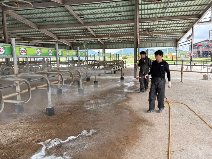 [무안=뉴시스] 재개장하는 무안 가축시장. (사진=전남도 제공) 2025.05.23. photo@newsis.com *재판매 및 DB 금지