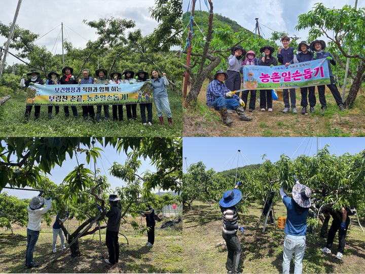 청도군 농촌일손돕기 (사진=청도군 제공) *재판매 및 DB 금지
