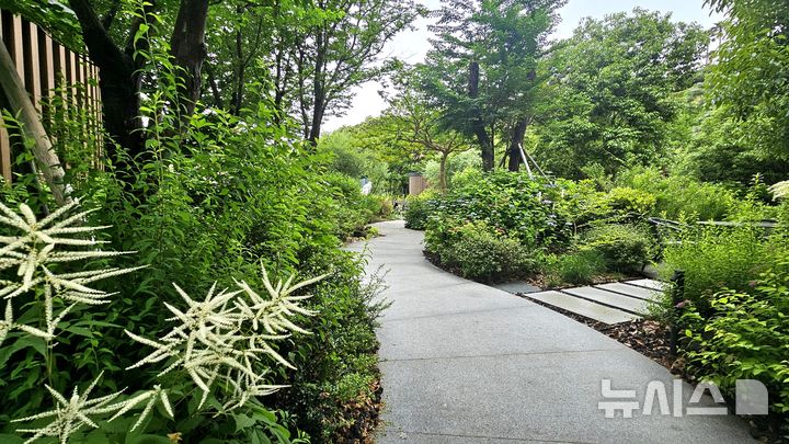 [제주=뉴시스] 임재영 기자 = 제주 서귀포시 중문관광단지에 위치한 롯데호텔 제주의 야외 '원생정원'은 국내 호텔업계 최초의 민간정원으로 등재됐다. 2025.05.20. ijy788@newsis.com