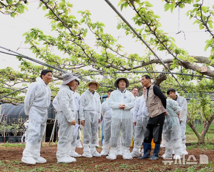 [나주=뉴시스] 윤병태 나주시장(앞줄 오른쪽 두번째) 배꽃 개화기 과수단지를 찾아 저온, 서리피해 현장 점검 활동을 하고 있다.(사진=나주시 제공) 2025.05.23. photo@newsis.com