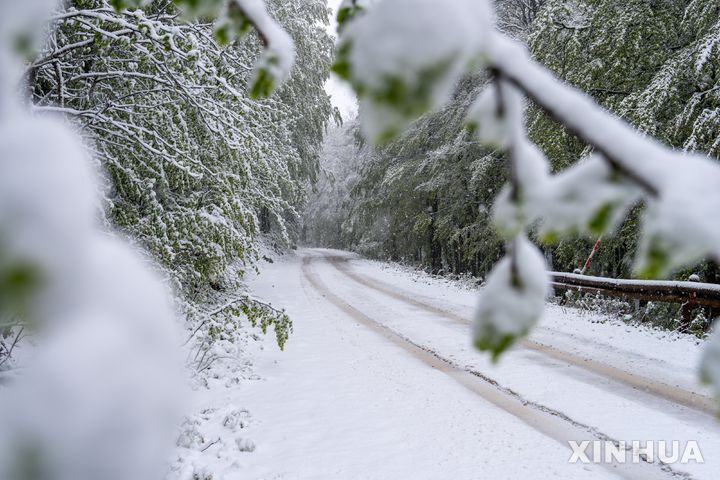 [자그레브( 크로아티아)=AP/뉴시스]&nbsp; 2025년 5월 23일 늦봄에 내린 폭설로 겨울을 방불케 하는 크로아티아 벨레비트 국립공원의 설경.&nbsp; 크로아티아는 11월 22일 주말에도 폭설로 전국의 도로망이 마비되고 여행금지와 폭설 적색경보령이 내려졌다. 2025. 11.23.&nbsp; 