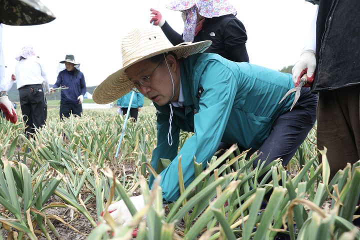 [창녕=뉴시스] 사진은 이형일 통계청장이 지난 21일 오전 경남 창녕군의 한 마늘밭에서 마늘생산량조사 시연회를 진행하고 있는 모습. (사진=통계청 제공) 2025.05.21. photo@newsis.com *재판매 및 DB 금지