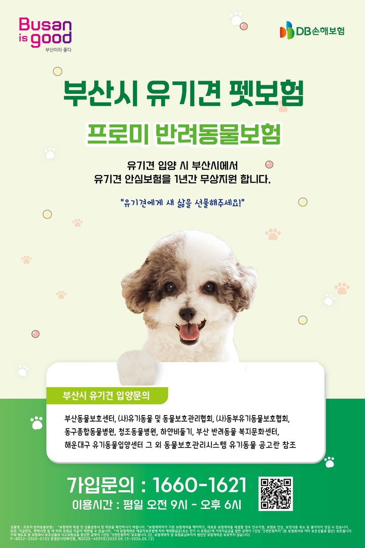 [부산=뉴시스] 부산시 유기동물 펫보험 지원사업 안내 포스터. (사진=부산시 제공) 2025.05.26. photo@newsis.com *재판매 및 DB 금지