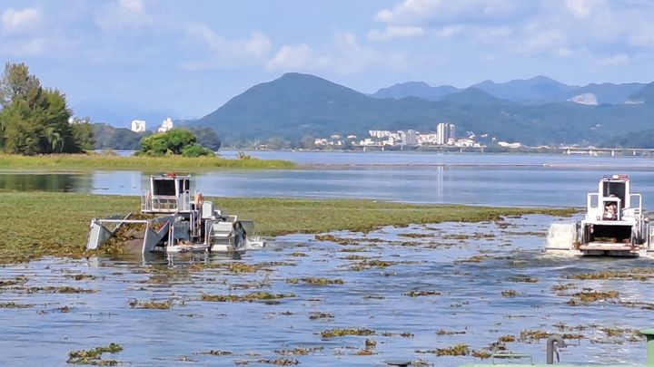 유해수초 제거 작업(사진=경기도 제공) *재판매 및 DB 금지