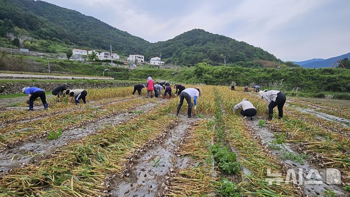 남해군, 부서별 농번기 일손돕기 활동 본격 시작
