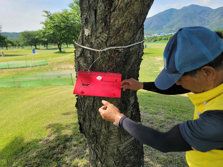 [밀양=뉴시스] 밀양파크골프장에 성페로몬 트랩을 설치하고 있다. (사진=밀양시 제공) 2025.05.26. photo@newsis.com *재판매 및 DB 금지
