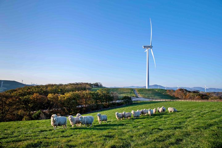 강원 평창군 '삼양라운드힐' *재판매 및 DB 금지