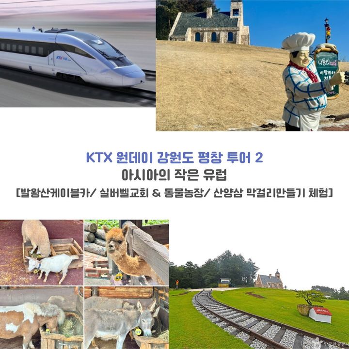 코레일관광개발 'KTX 연계 평창 하루 여행' 중 '아시아의 작은 유럽' *재판매 및 DB 금지