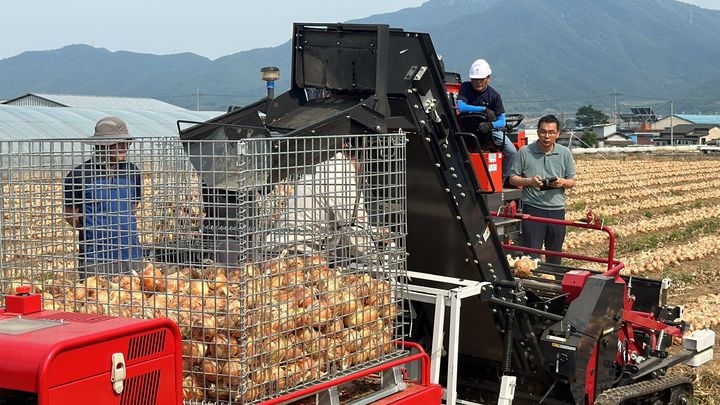 [합천=뉴시스] 합천군 양파 수집기 사진 (사진=합천군 제공) 2025. 05. 26. photo@newsis.com *재판매 및 DB 금지