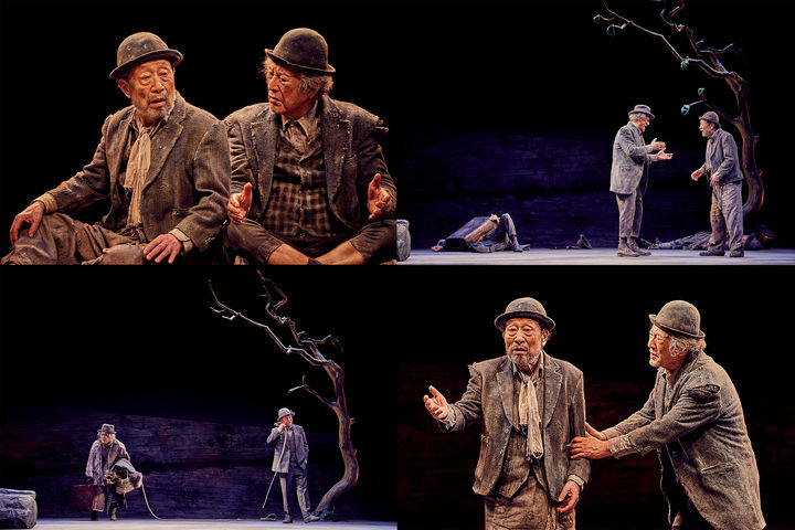 연극 '고도를 기다리며' 공연 모습. (사진=파크컴퍼니 제공) *재판매 및 DB 금지
