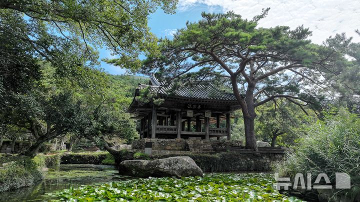 [광주=뉴시스] 전남 완도군은 26일 보길도 윤선도원림 내 세연정 권역을 3D 데이터로 구축한다고 밝혔다. (사진=완도군 제공). 2025.05.26. photo@newsis.com *재판매 및 DB 금지