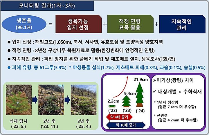 [대전=뉴시스] 무주 구상나무 현지외 보존원 모니터링 결과.(사진=국립산림과학원 제공) *재판매 및 DB 금지