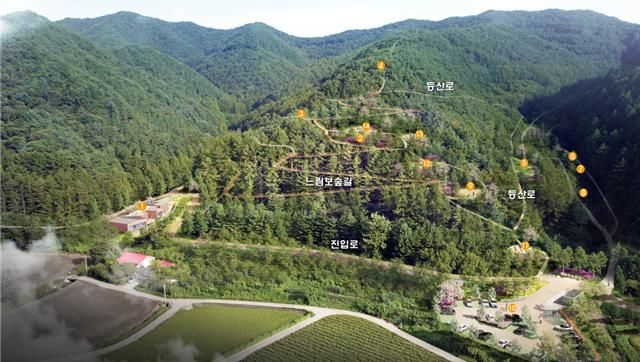 [청주=뉴시스] 충북 청주시 옥화치유의 숲. (사진=청주시 제공) photo@newsis.com *재판매 및 DB 금지