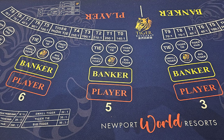 필리핀 카지노 바카라 테이블에는 '타이 이벤트'가 다양하게 진행되고 있다. 타이 배당금이 최소 40배부터 최대 210배까지 구분된다.(사진=뉴시스) *재판매 및 DB 금지