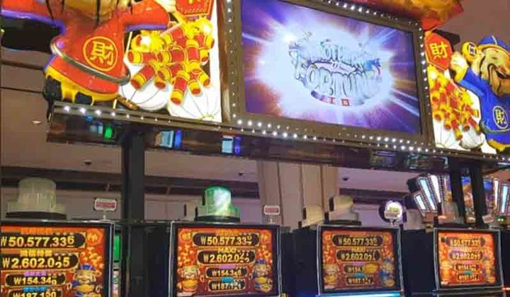 강원랜드에서 가장 인기가 많은 왕서방 슬롯머신. 고객은 넘쳐나는데 머신과 테이블 좌석이 부족해 365일 고객불편이 끊이지 않는다.(사진=독자 제공) *재판매 및 DB 금지