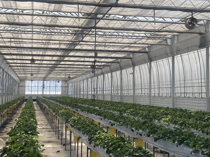 [금산=뉴시스] 충남 금산군 군북면 내부리 충남형 스마트팜 사관학교 임대 시설. *재판매 및 DB 금지