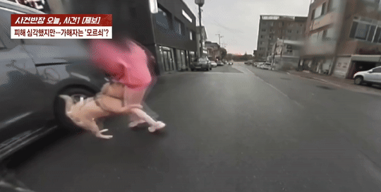[서울=뉴시스] 30대 여성이 퇴근길에 진돗개에 물리는 사고가 발생했다. (사진 = 'JTBC News' 유튜브 캡처) 2025.05.27. *재판매 및 DB 금지