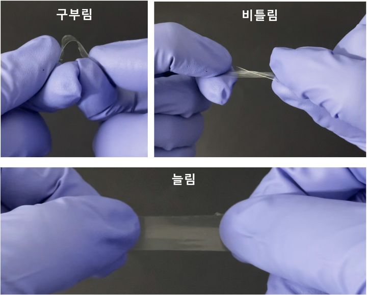 [인천=뉴시스] 공동연구팀이 개발한 고무처럼 늘어나면서 반응물질을 가지고 있는 기능성 고체 전해질. (사진=인하대 제공) 2025.05.27. photo@newsis.com *재판매 및 DB 금지