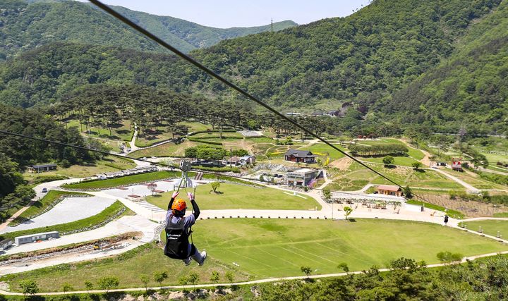 [정읍=뉴시스] 구절초지방공원 집와이어. (사진=뉴시스 DB). photo@newsis.com&nbsp; *재판매 및 DB 금지