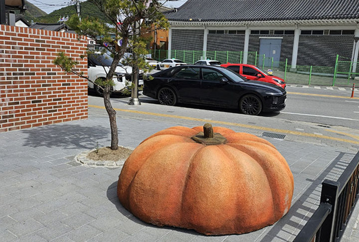 영월 주요 시가지 등에 설치된 호박 조형물.)사진=영월군 제공) *재판매 및 DB 금지