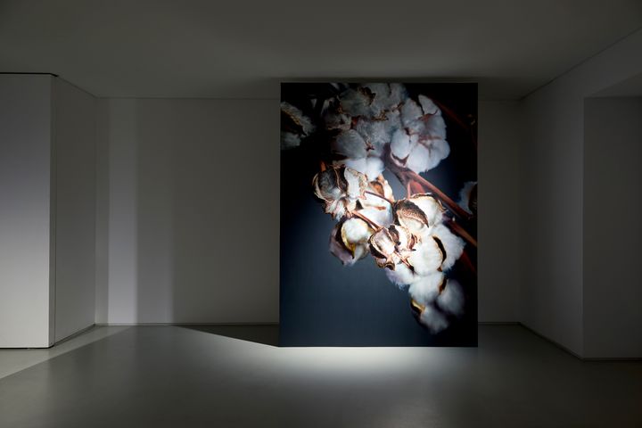 강강훈 개인전 *재판매 및 DB 금지