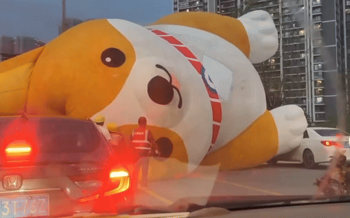 [서울=뉴시스] 중국의 한 운전자가 도로 위에서 예상치 못한 장애물을 마주쳤다.(사진=도우인) *재판매 및 DB 금지