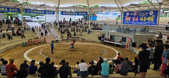 2024경산자인단오제 전국대학장사씨름대회 (사진=경산시 제공) *재판매 및 DB 금지